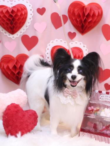 20240223ととくん